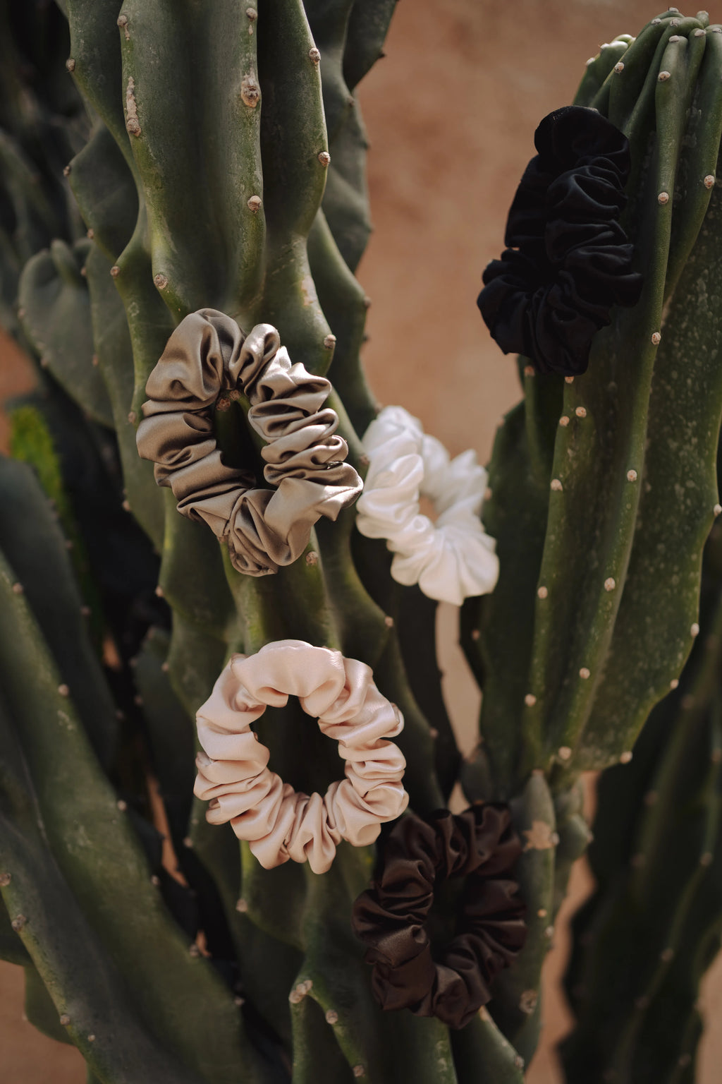 Medium silk scrunchies in multiple colours displayed on cactus